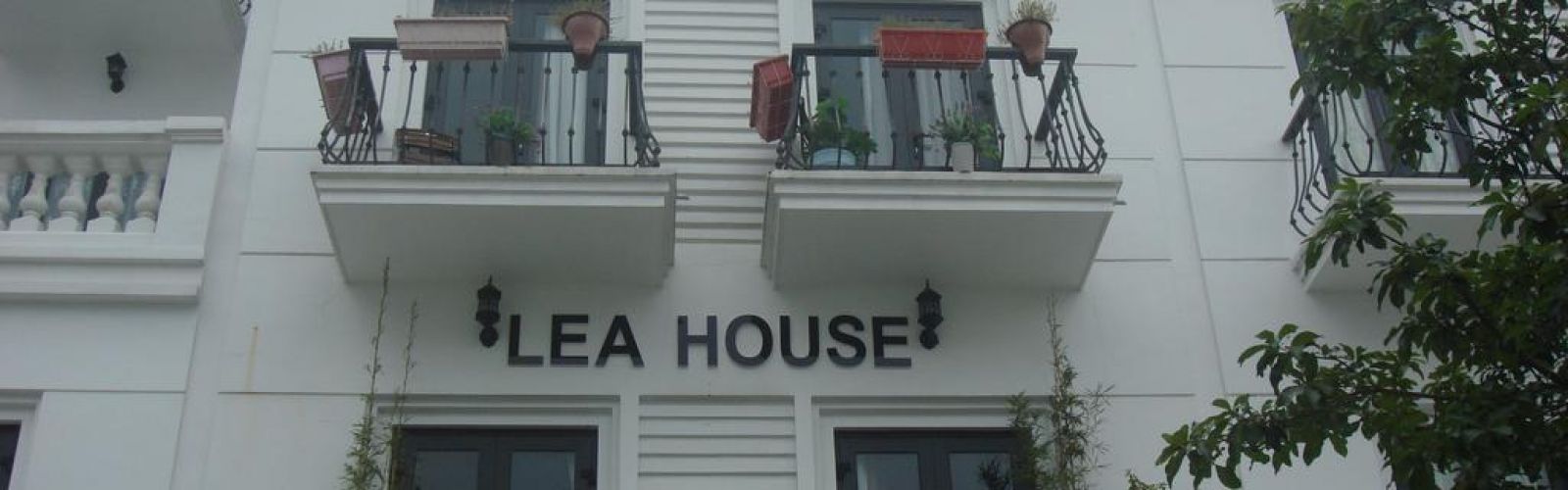 Lea House Ha Long Guesthouse 